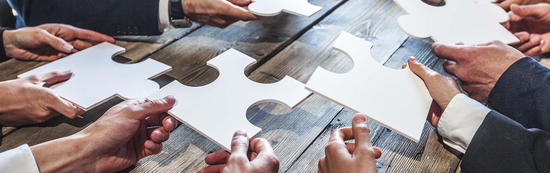 Business people and puzzle CRM-overvejelser, Produkter
